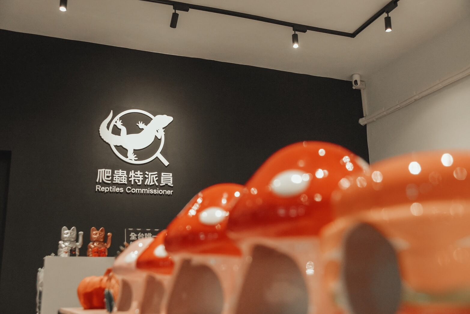 專案二